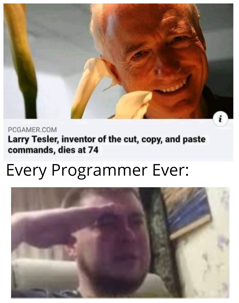 *copies and pastes crying emoji into comments* | programmer-memes, program-memes, command-memes, comment-memes | ProgrammerHumor.io