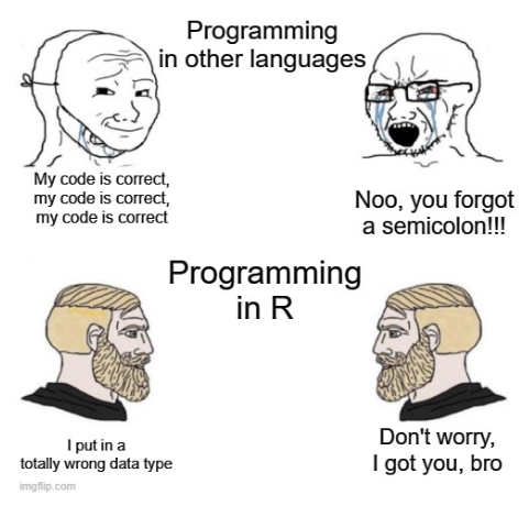 As my prof said, R is kind of a programming language | programming-memes, code-memes, program-memes, data-memes, semicolon-memes, language-memes, programming language-memes | ProgrammerHumor.io