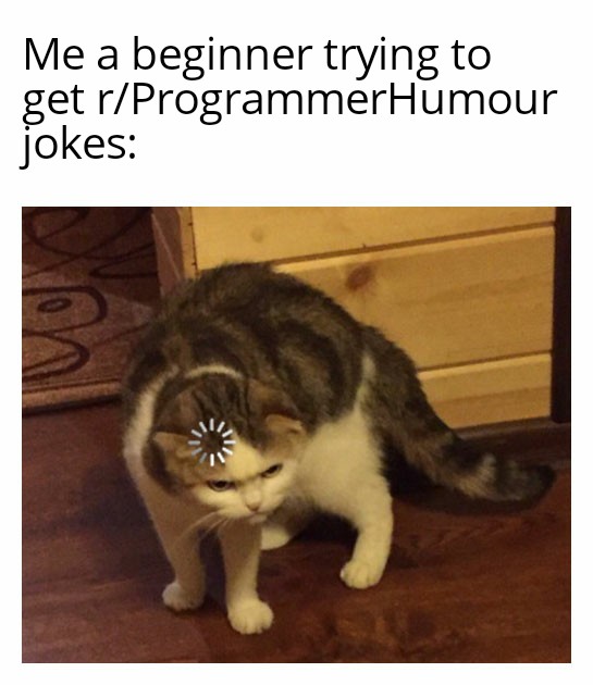 It gets worse when you see the comments | programmer-memes, program-memes, try-memes, IT-memes, comment-memes | ProgrammerHumor.io