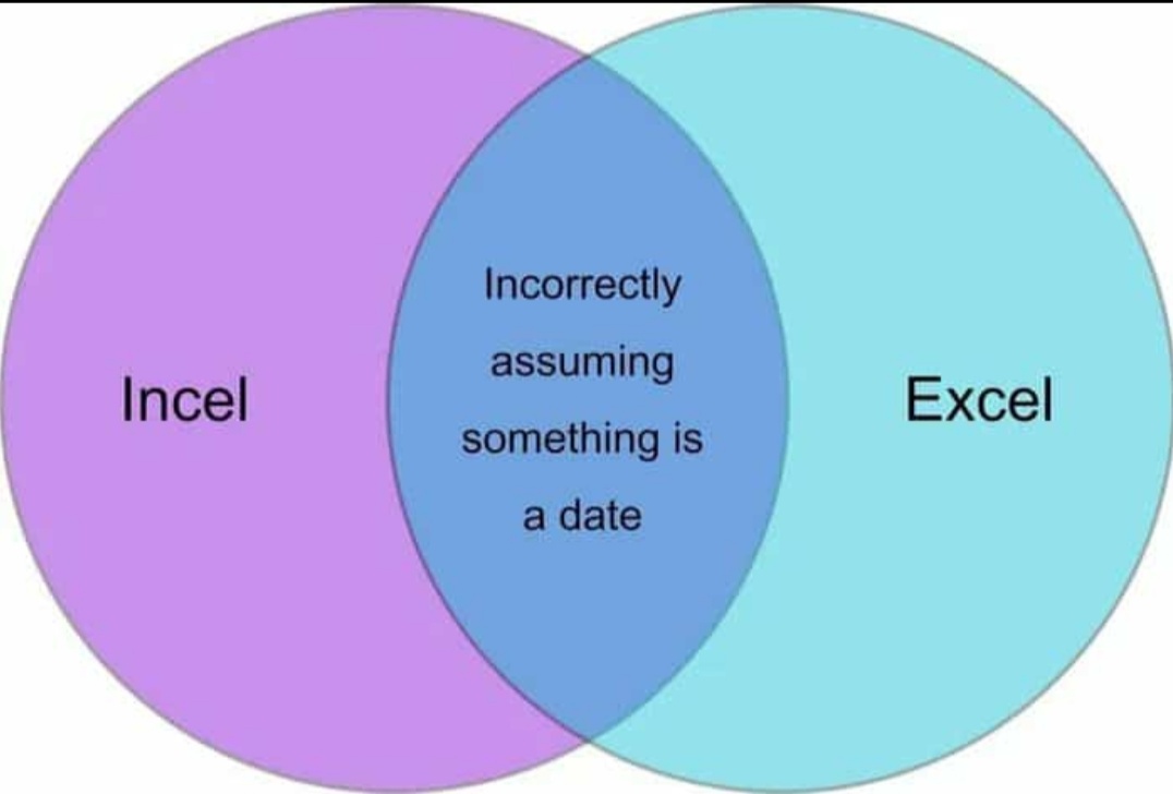 Excel is a nice guy | excel-memes, date-memes | ProgrammerHumor.io