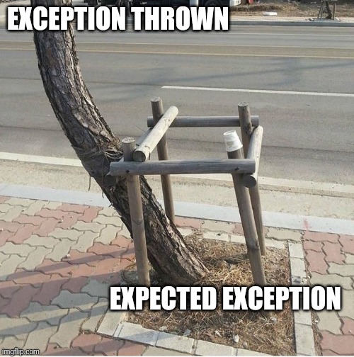 Me handling Exception in best way. | exception-memes | ProgrammerHumor.io