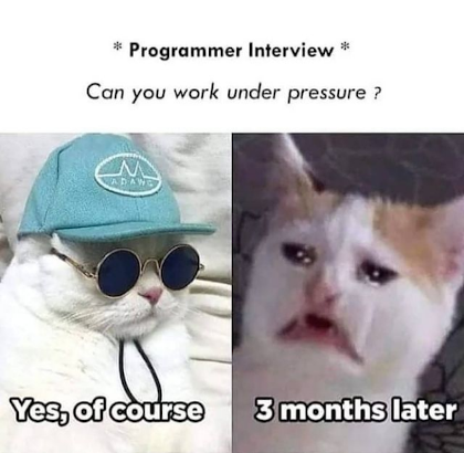 Halp | programmer-memes, program-memes | ProgrammerHumor.io