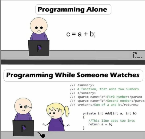 Programing alone | programming-memes, program-memes, private-memes | ProgrammerHumor.io