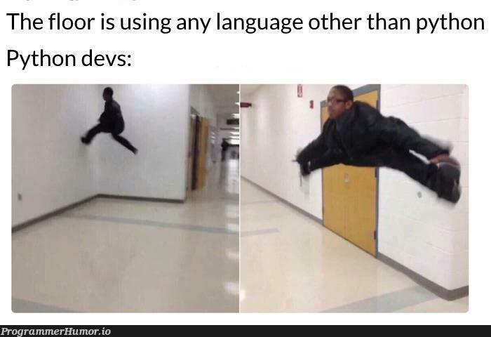 Literally me | python-memes, devs-memes, language-memes | ProgrammerHumor.io