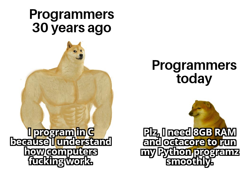 I program in both languages though! | programmer-memes, program-memes, bot-memes, ML-memes, language-memes | ProgrammerHumor.io