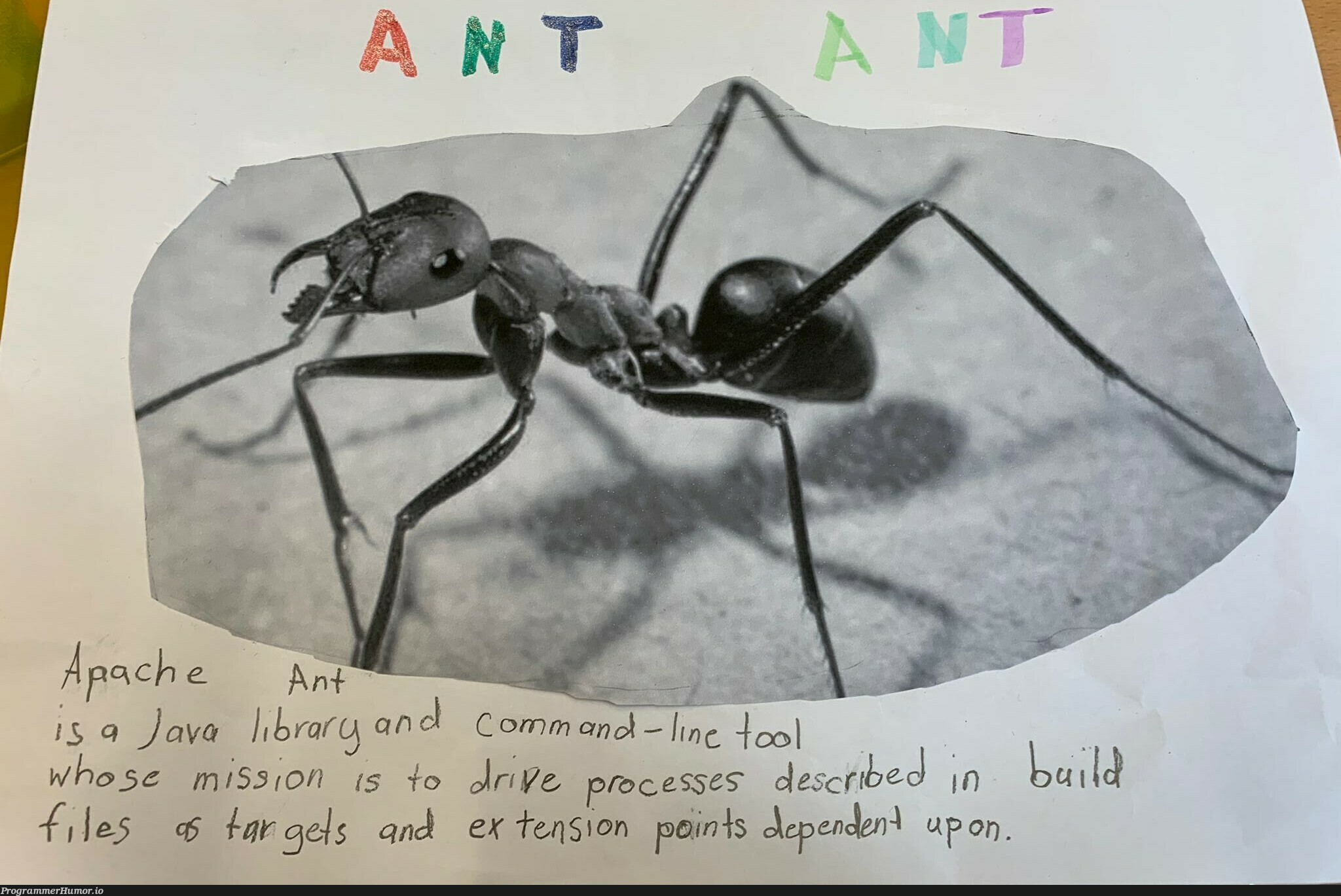 Got this from my friend who is a high school English teacher. One of her students was asked to describe an ant in English. Google has clearly failed her. | java-memes, google-memes | ProgrammerHumor.io