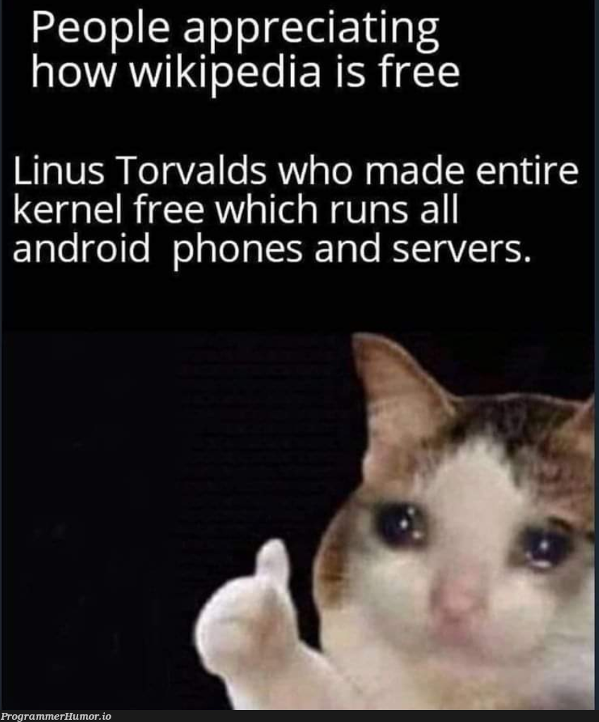 An interesting title | android-memes, server-memes, rest-memes, servers-memes, kernel-memes | ProgrammerHumor.io