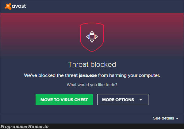 Avast protected me | computer-memes, java-memes, loc-memes, lock-memes | ProgrammerHumor.io