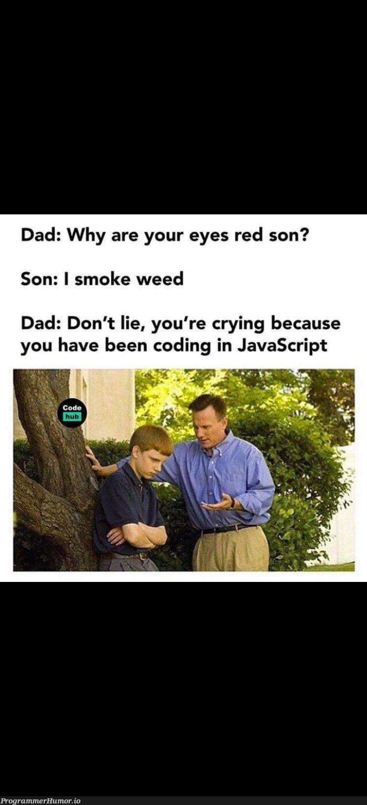 Am not lying Dad | coding-memes, javascript-memes, java-memes | ProgrammerHumor.io