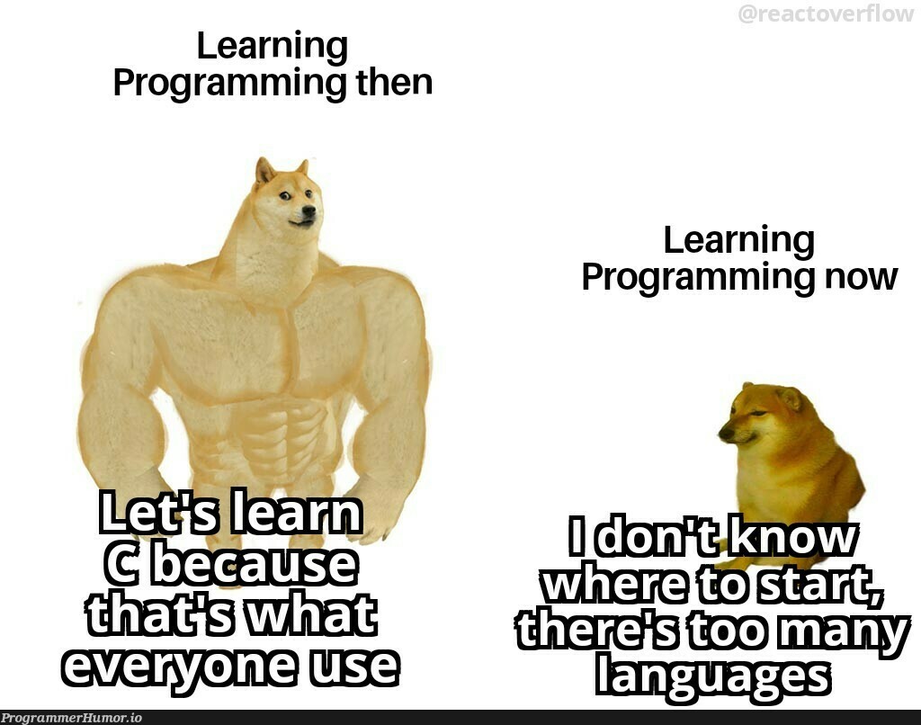 Should I learn JavaScript or Python? | programming-memes, javascript-memes, java-memes, python-memes, program-memes | ProgrammerHumor.io