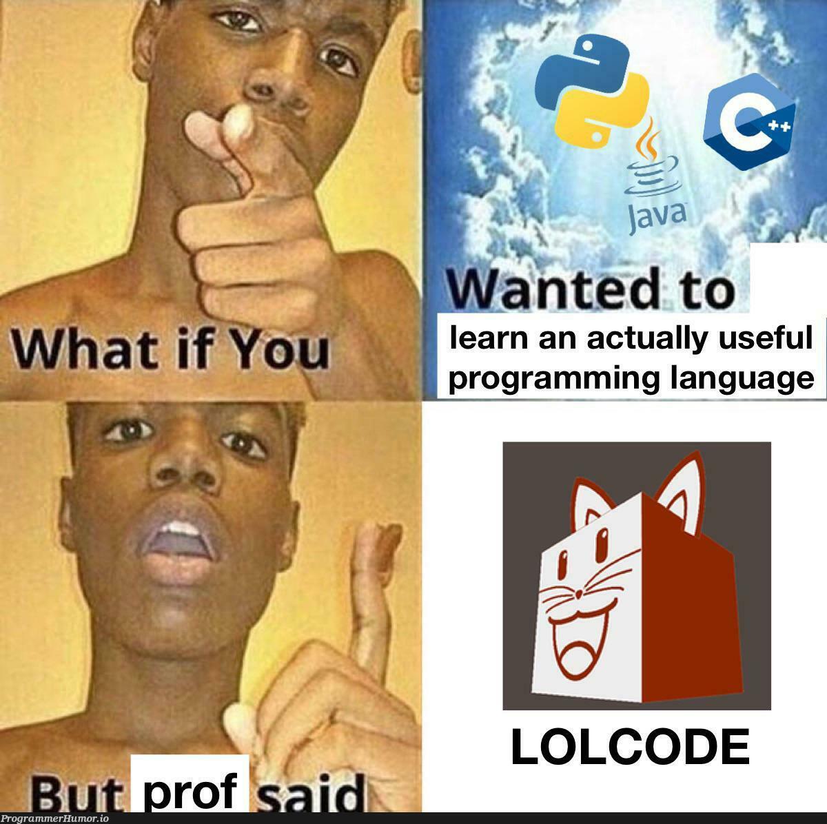 Yes professor please teach us the most obscure language in the entire world | programming-memes, code-memes, program-memes, language-memes, programming language-memes | ProgrammerHumor.io