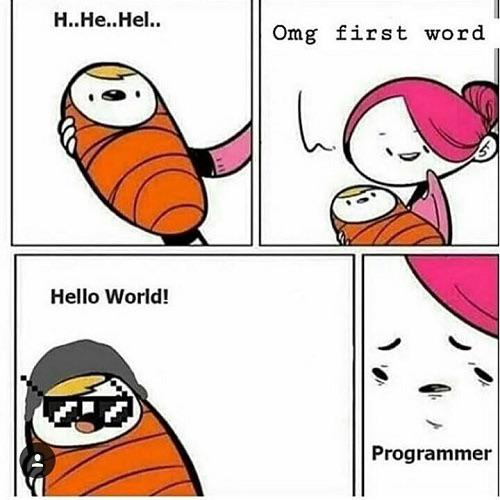 Ooh, there ain't no other way, baby, I was born this way. | programmer-memes, program-memes | ProgrammerHumor.io