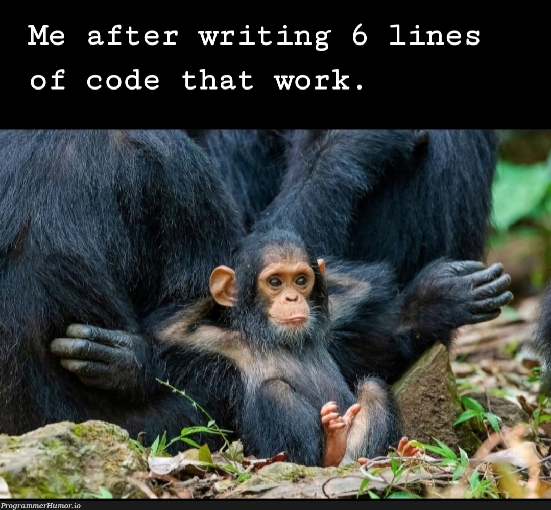 Oh yeah, that feeling of satisfaction. | code-memes, lines of code-memes | ProgrammerHumor.io