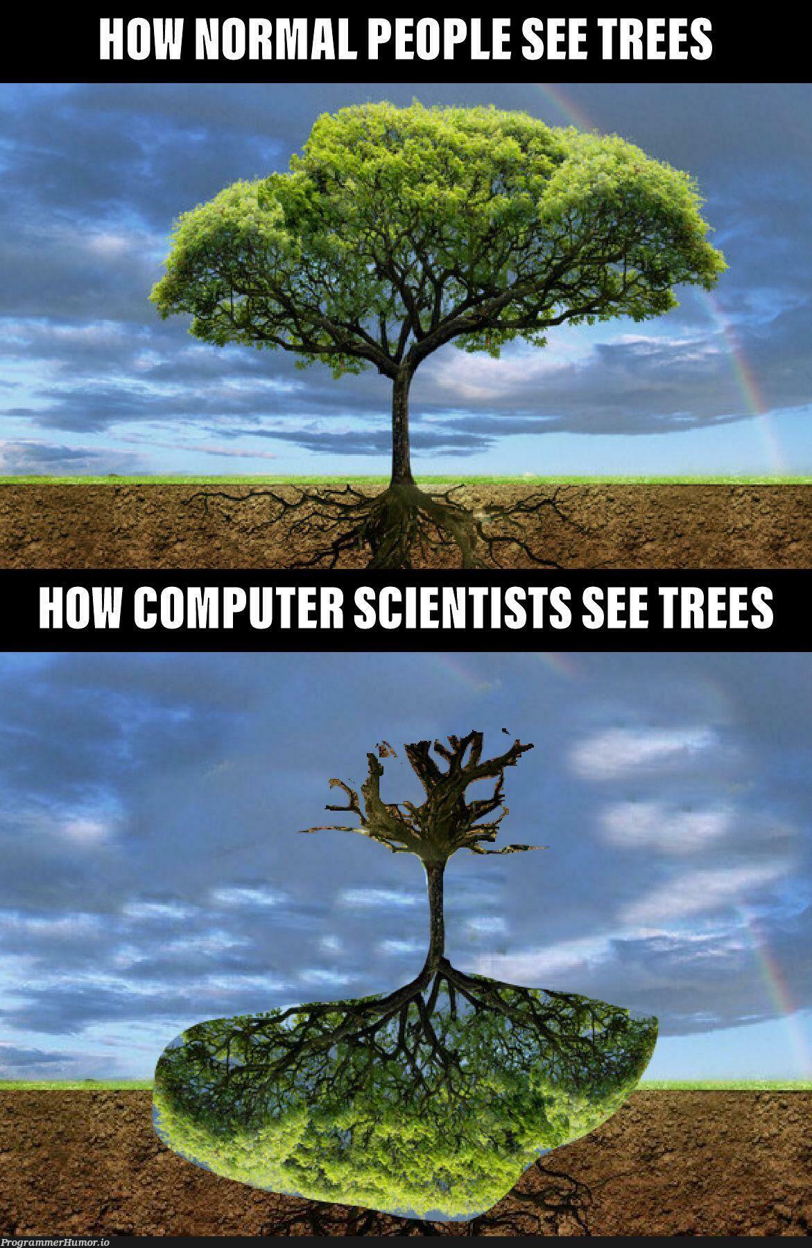 Hope someone gets it | trees-memes | ProgrammerHumor.io