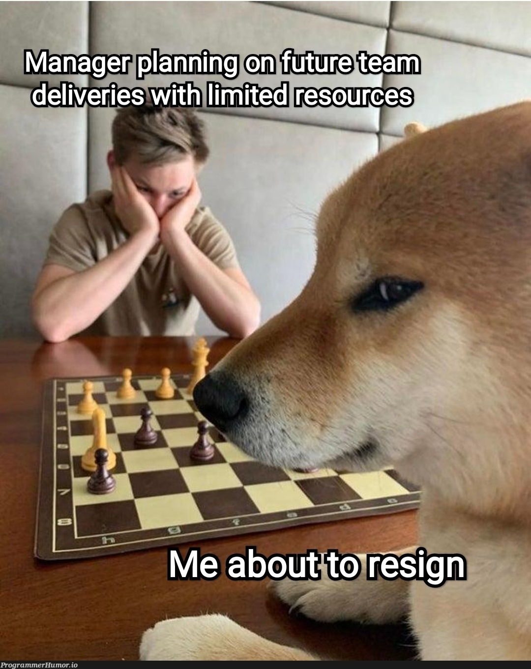 Time to checkmate | ProgrammerHumor.io