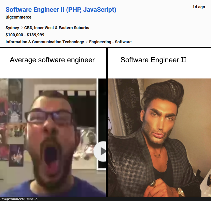 New title just dropped | software-memes, tech-memes, technology-memes, engineer-memes, software engineer-memes, engineering-memes | ProgrammerHumor.io