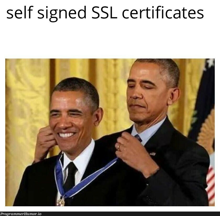 Trust me, I'm a Expert | ssl-memes, rust-memes | ProgrammerHumor.io