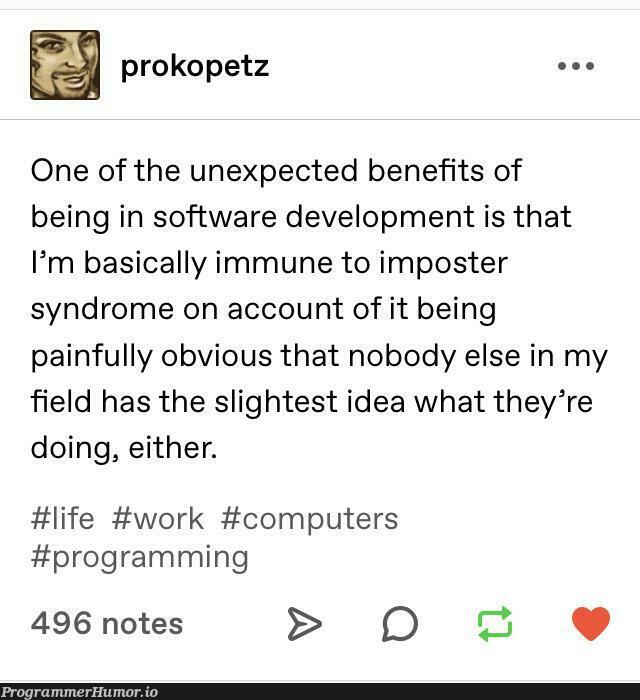 Imposter Syndrome | programming-memes, software-memes, computer-memes, development-memes, program-memes, test-memes, IT-memes, idea-memes, ide-memes | ProgrammerHumor.io