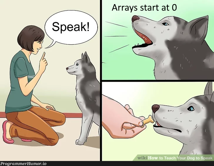 Training your dog to program | program-memes, array-memes, arrays-memes, train-memes | ProgrammerHumor.io