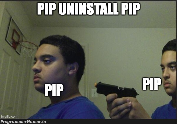 Pip uninstall pip be like | pip-memes | ProgrammerHumor.io