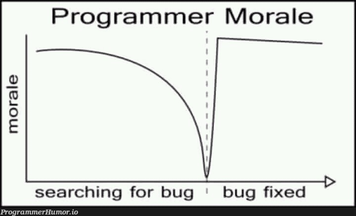 only true graph | programmer-memes, program-memes, bug-memes, fix-memes, bug fix-memes, search-memes, graph-memes | ProgrammerHumor.io