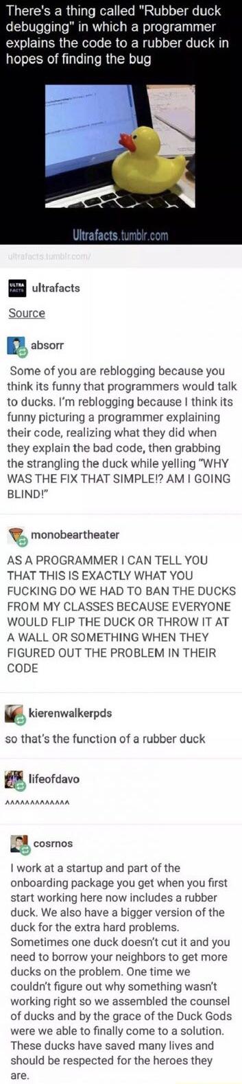 May the Duck Gods watch over you. | programmer-memes, code-memes, program-memes, bad code-memes, debugging-memes, bug-memes, version-memes, function-memes, class-memes, debug-memes, fix-memes, IT-memes, startup-memes | ProgrammerHumor.io