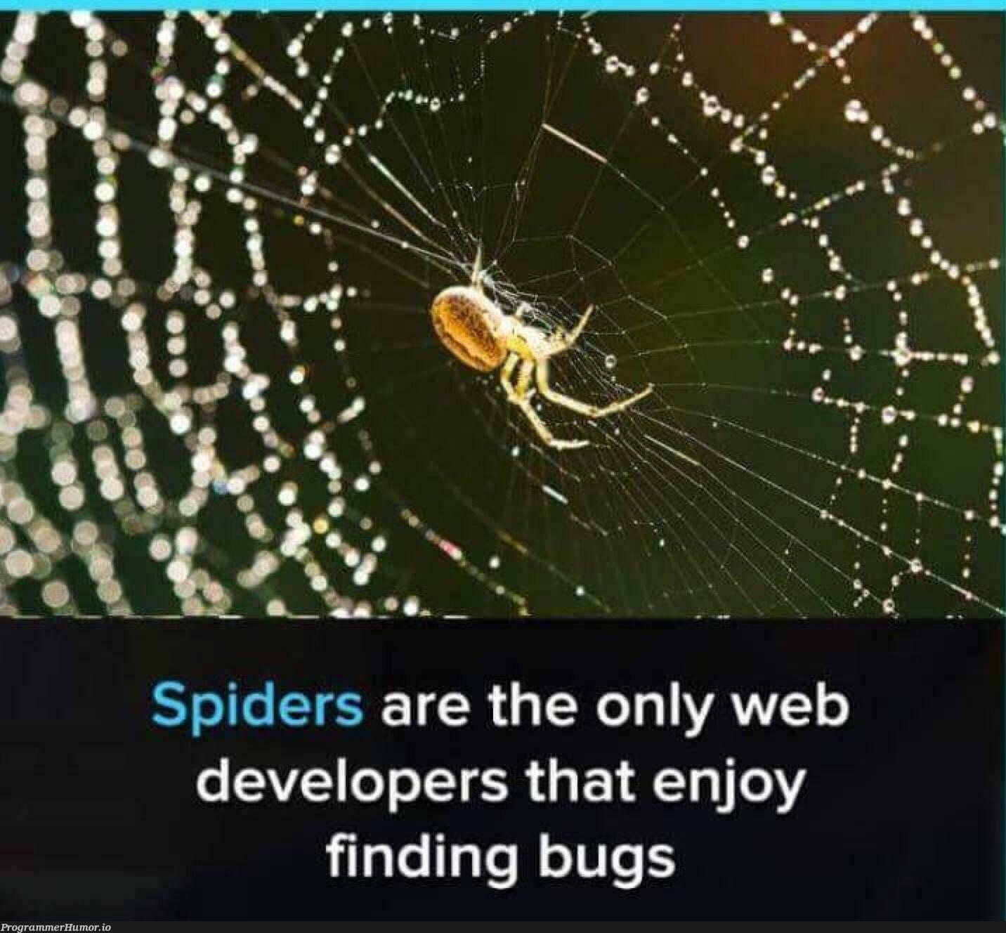 Hmmm | developer-memes, web developer-memes, web-memes, bugs-memes, bug-memes, ide-memes | ProgrammerHumor.io