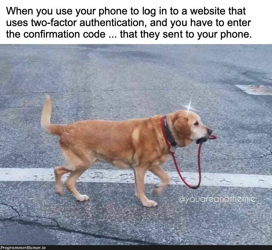 Security is so easy! | code-memes, web-memes, website-memes, security-memes, authentication-memes | ProgrammerHumor.io