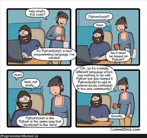 PythonScript comic strip | javascript-memes, java-memes, python-memes, web-memes, IT-memes, language-memes | ProgrammerHumor.io