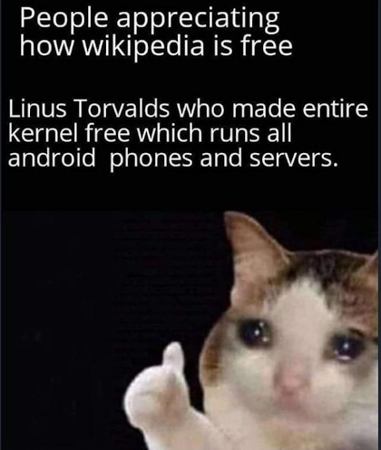 Poor Linus | android-memes, server-memes, servers-memes, kernel-memes | ProgrammerHumor.io