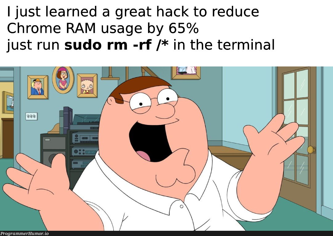 honestly speaking, i just freed up 300MB+ from my memory | terminal-memes, sudo-memes, rm -rf-memes | ProgrammerHumor.io