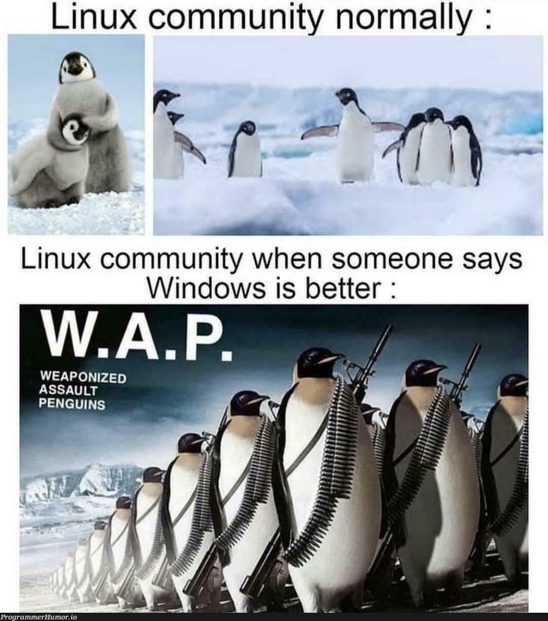 Execute order 🐧🐧 | linux-memes, ux-memes, windows-memes | ProgrammerHumor.io