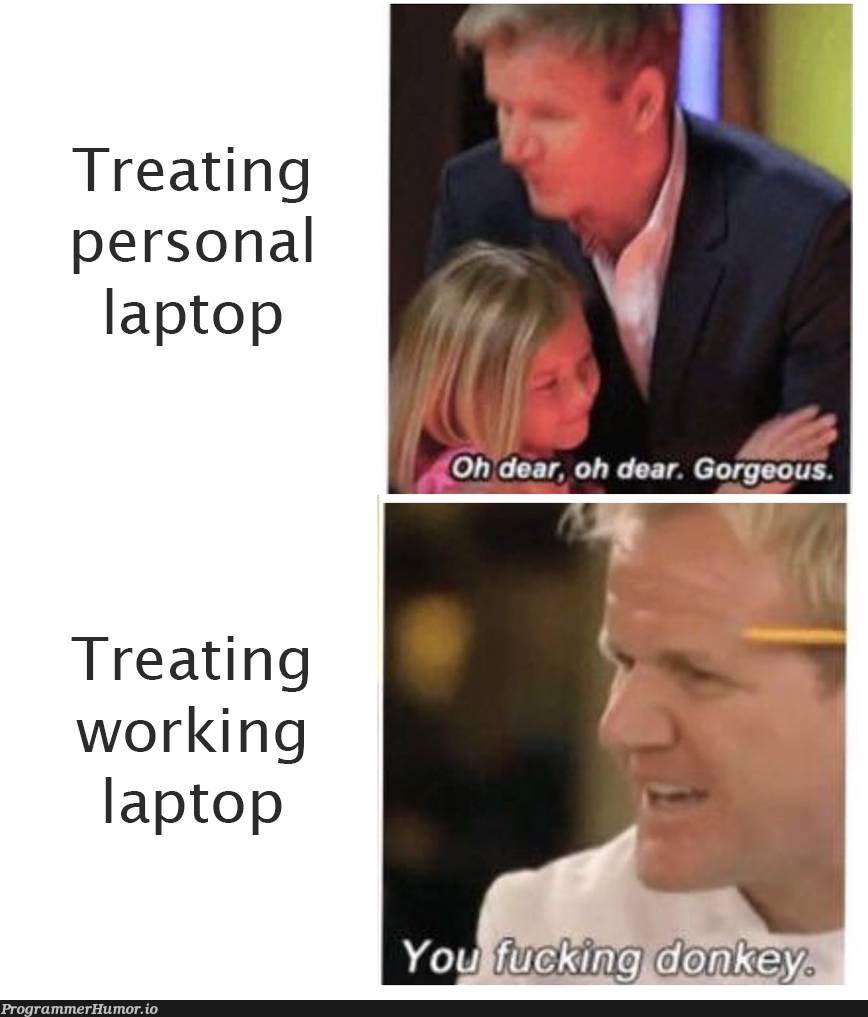 Be nice to your companys HW | laptop-memes | ProgrammerHumor.io