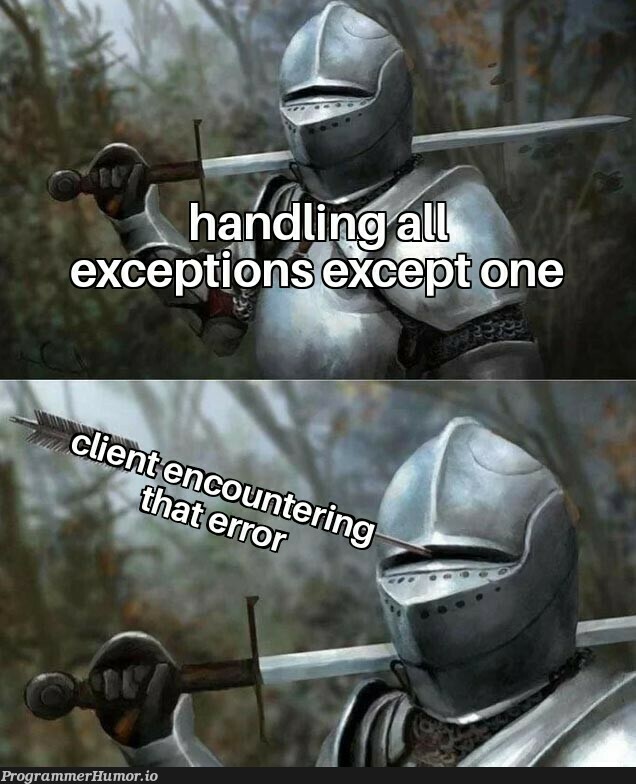 Exception handling | exception-memes | ProgrammerHumor.io