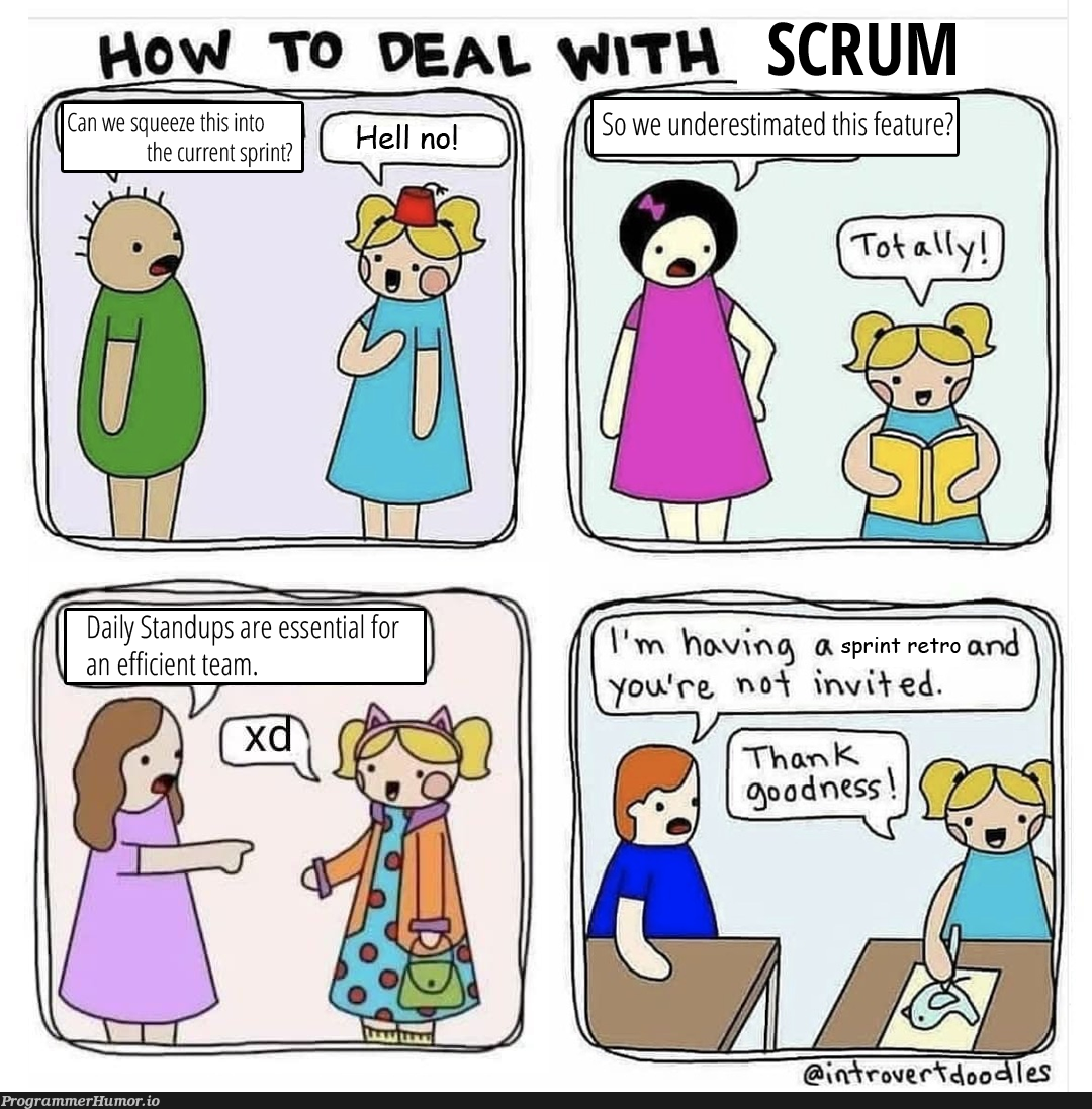 How to deal with scrum | ProgrammerHumor.io