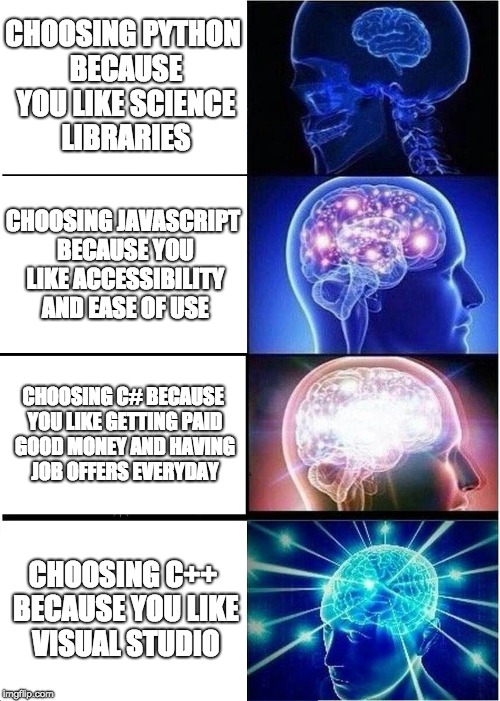 Choosing a language | language-memes | ProgrammerHumor.io