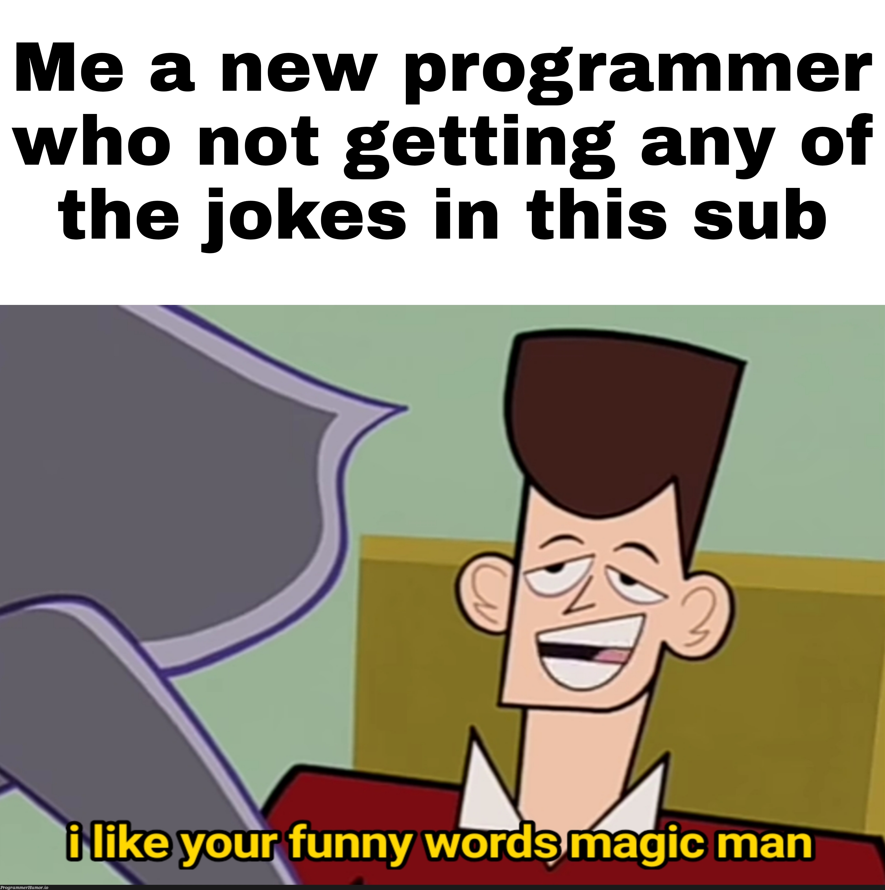 One day I will get the jokes | programmer-memes, program-memes | ProgrammerHumor.io