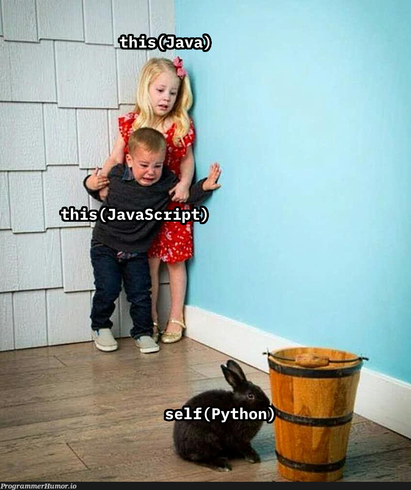 Why the heck 'self' | ProgrammerHumor.io