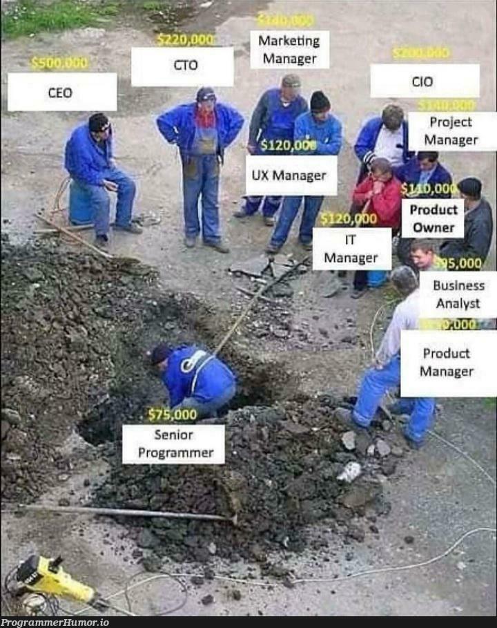 Can you spot the Junior programmer | programmer-memes, marketing-memes, program-memes, manager-memes | ProgrammerHumor.io