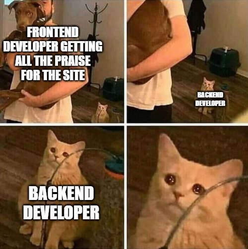 Development recognition isn't fair | development-memes | ProgrammerHumor.io