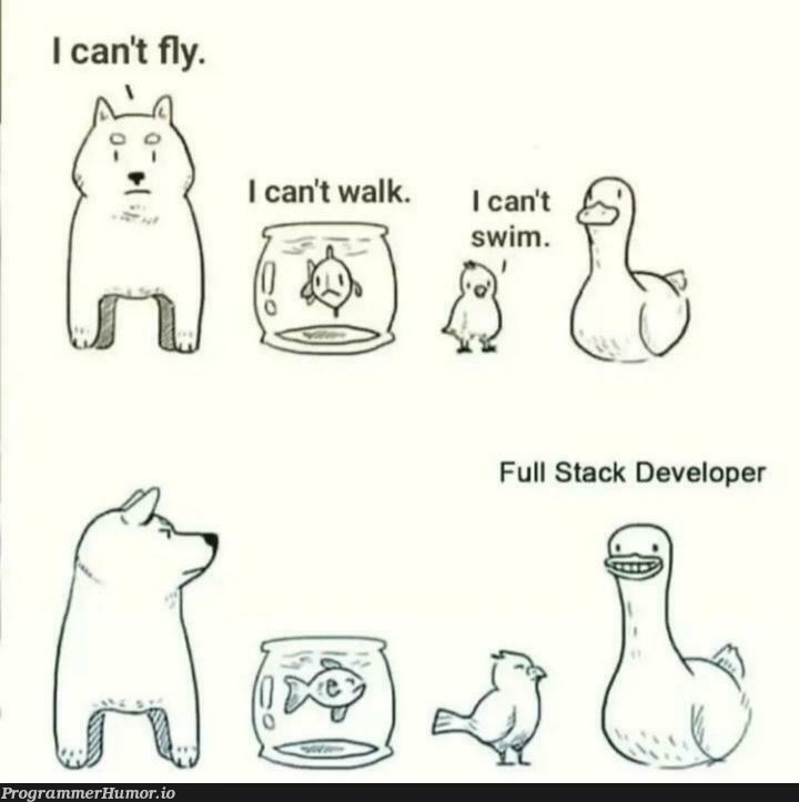 duck is such a cool animal | developer-memes, stack-memes, full stack-memes | ProgrammerHumor.io