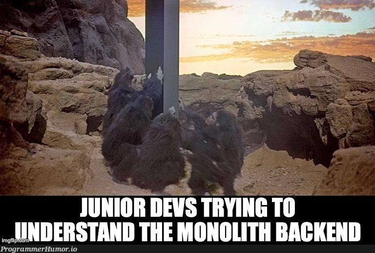Apes Together Strong | backend-memes, try-memes, devs-memes | ProgrammerHumor.io