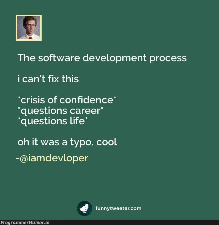 The software development process | software-memes, development-memes, fix-memes, IT-memes, ide-memes | ProgrammerHumor.io