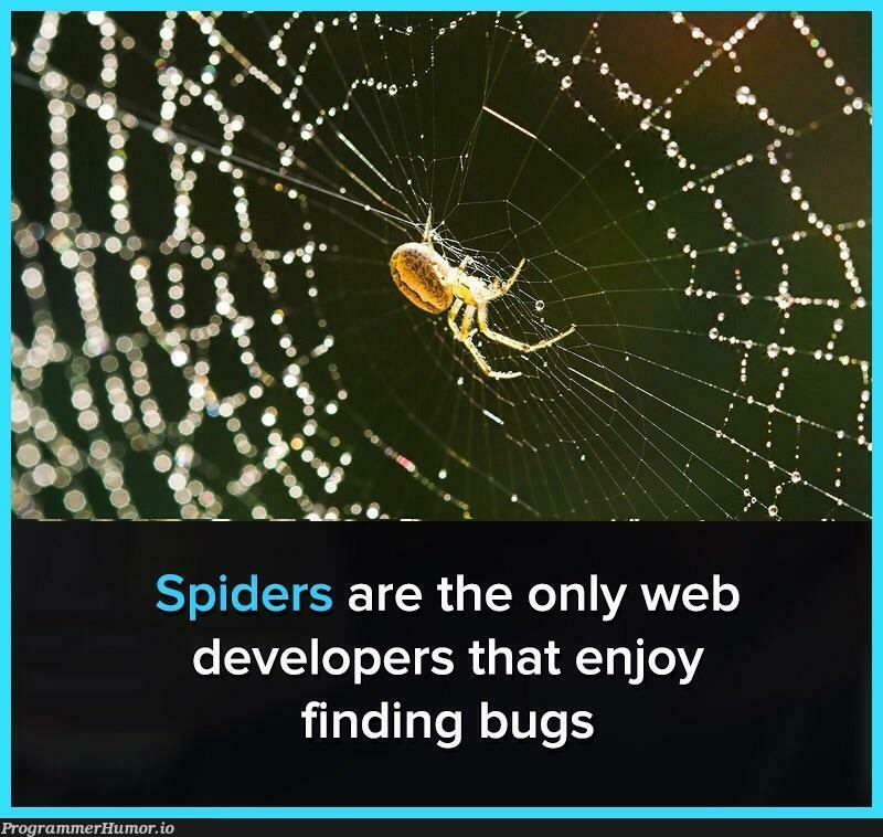 Spiders would make great web developers | developer-memes, web developer-memes, web-memes, bugs-memes, bug-memes, ide-memes | ProgrammerHumor.io