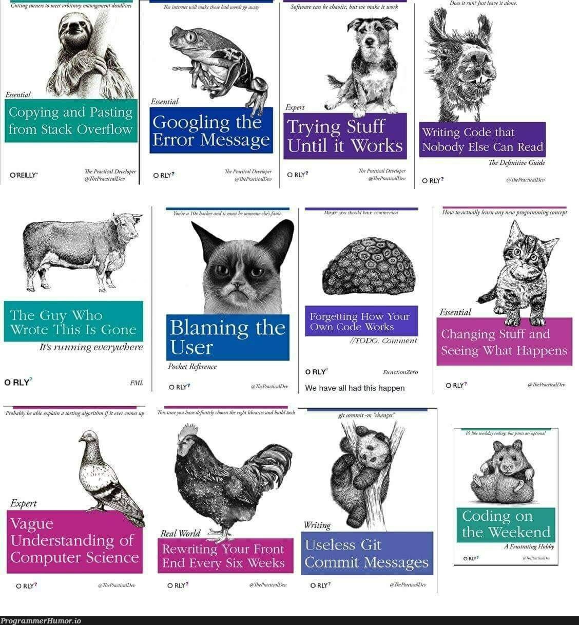 Some book recommendations for software engineers | software-memes, code-memes, engineer-memes, software engineer-memes, git-memes, function-memes, ide-memes, ML-memes, comment-memes | ProgrammerHumor.io