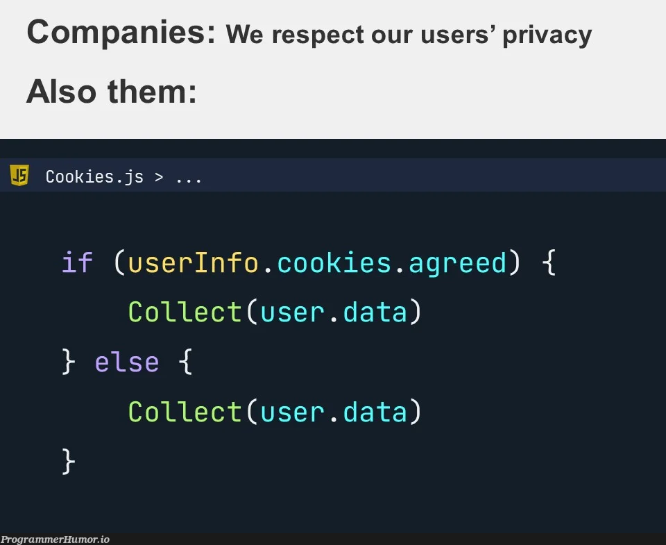 Privacy 100 | data-memes, cookie-memes | ProgrammerHumor.io