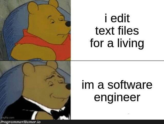 Senior excel developer | developer-memes, software-memes, engineer-memes, software engineer-memes, excel-memes | ProgrammerHumor.io