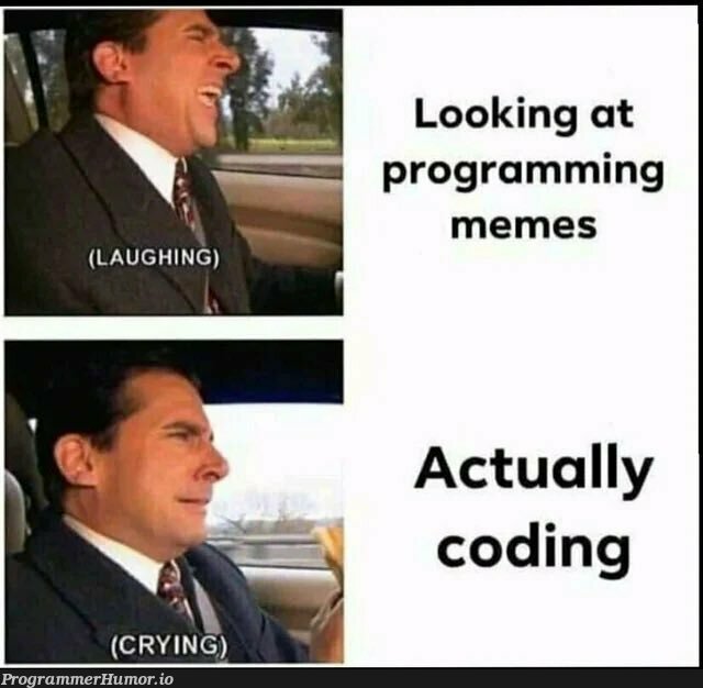 The pain is real... | programming-memes, coding-memes, program-memes | ProgrammerHumor.io