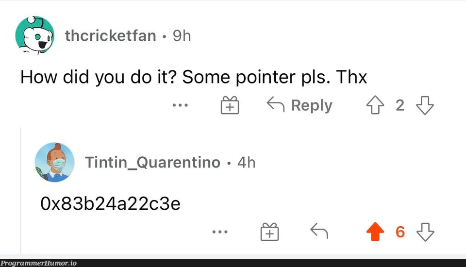 pointer plz | ProgrammerHumor.io