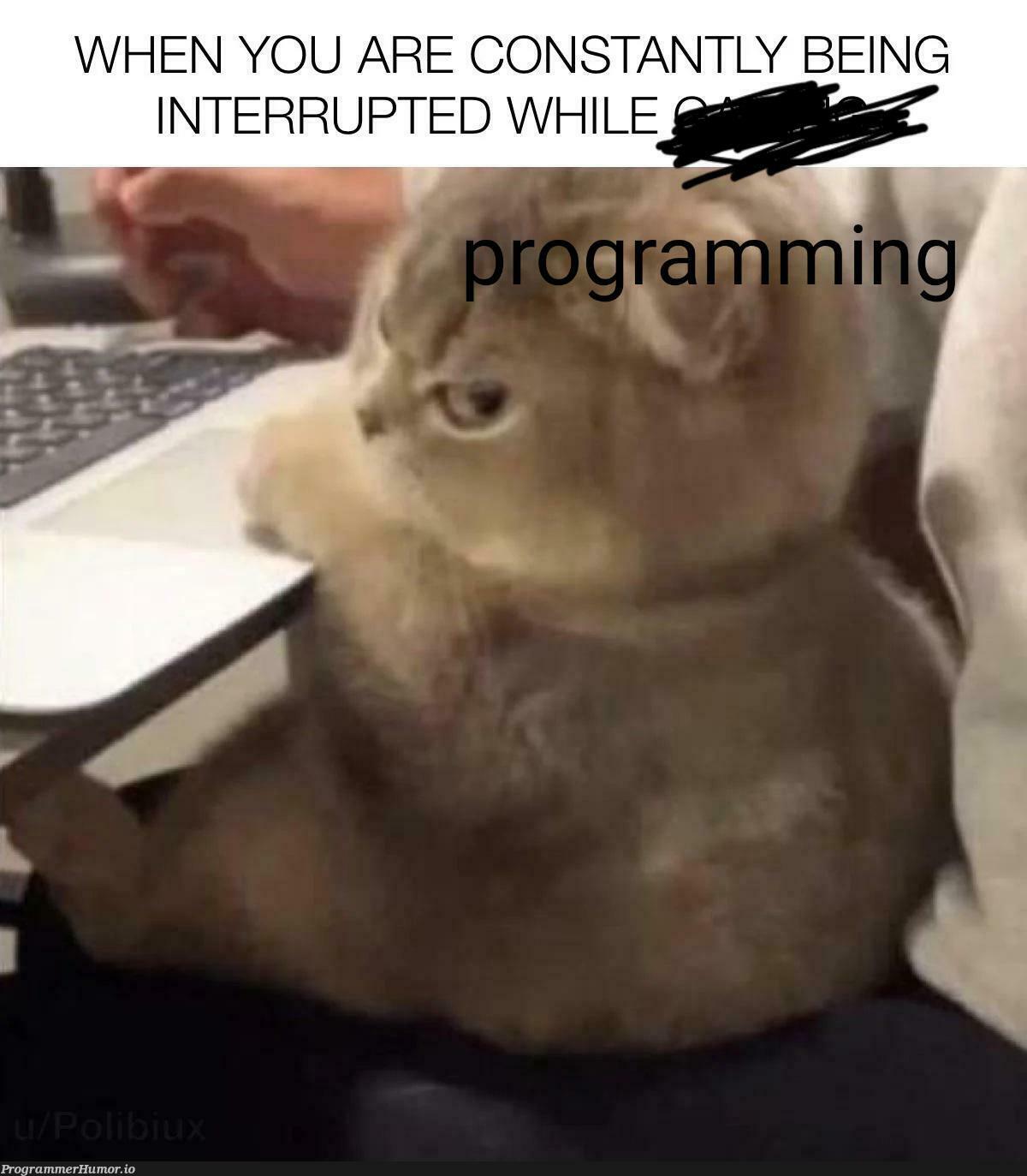 low effort but good | ProgrammerHumor.io